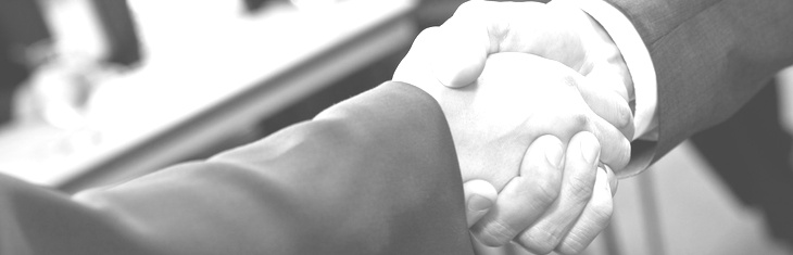 Geometry Consulting by Evolute